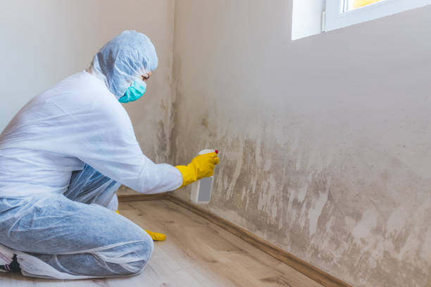 Commercial Mold Remediation assessment for commercial property in Tall Timbers